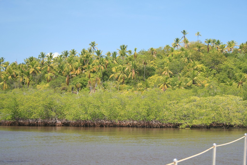 Ilha Tatuoca - Ilha De Santo Aleixo - Maceio_Fritz 016