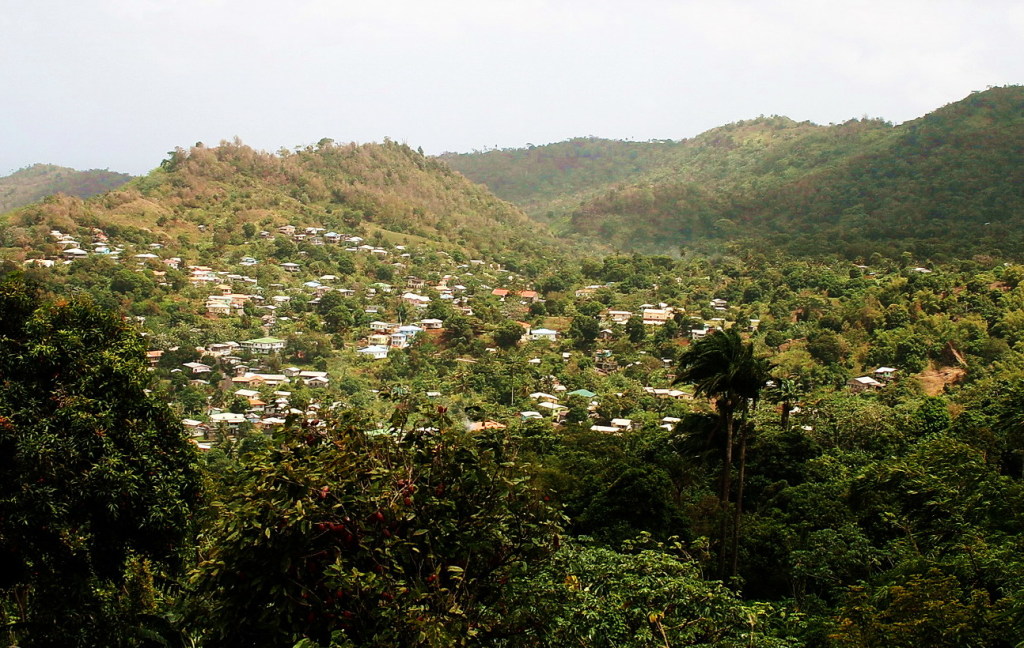 Grenada ist mit tropischem Regenwald gesegnet
