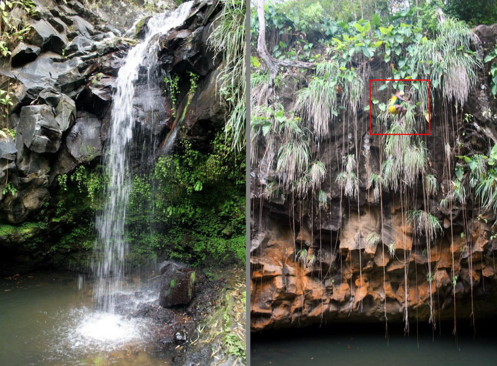 den Wasserfall Annadale, wo sich Ricky todesmutig in die Tiefe stürzt