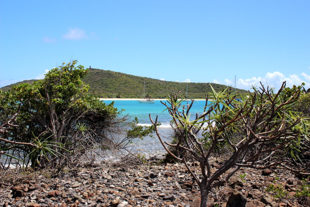 Culebra 060