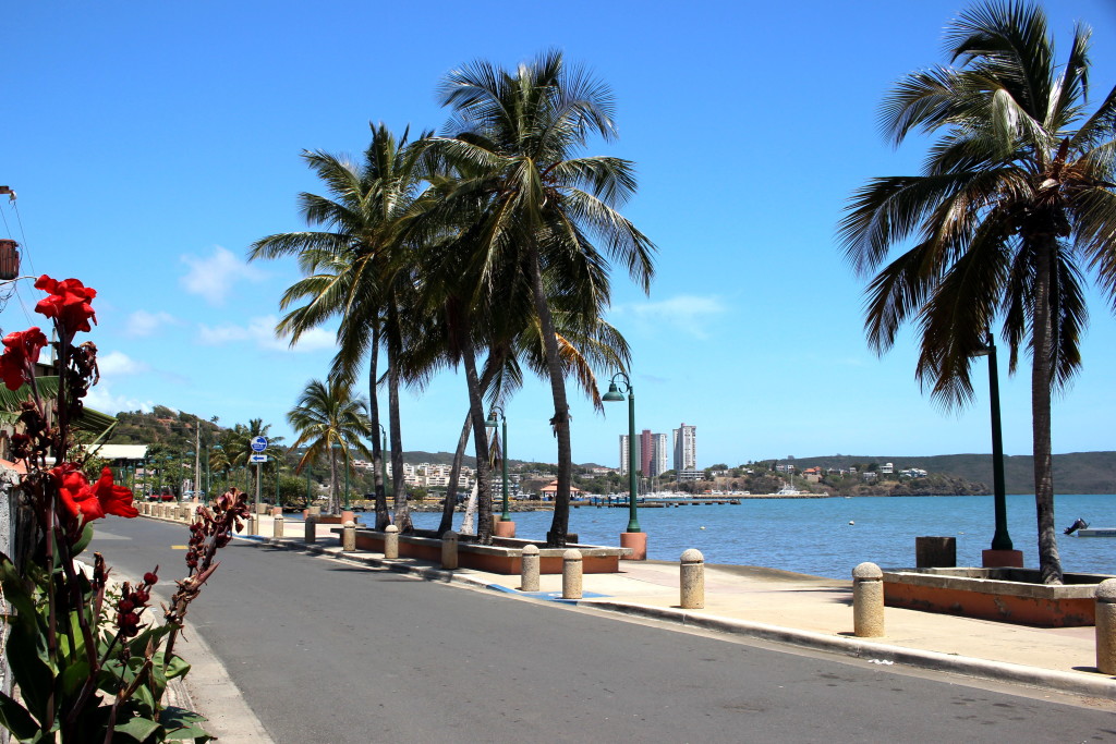 Insel Palmeninos 023