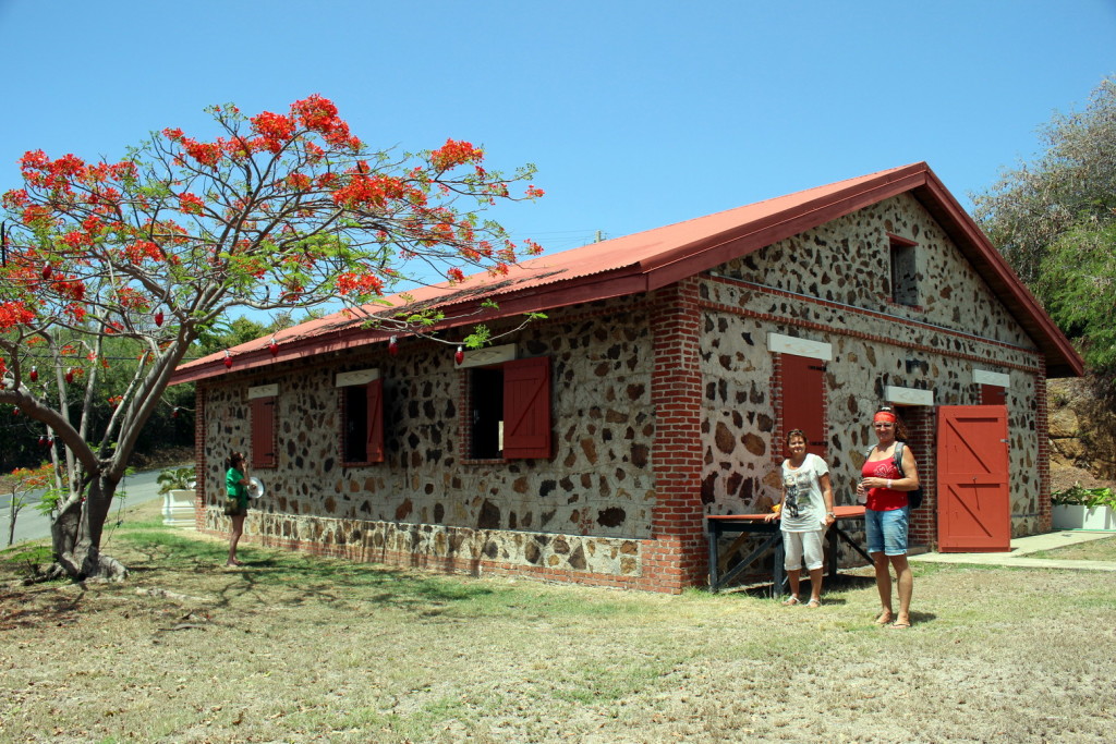 Culebra 016