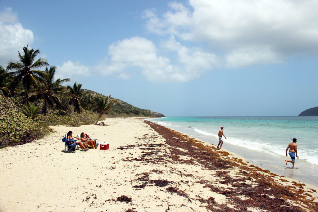 Culebra 021