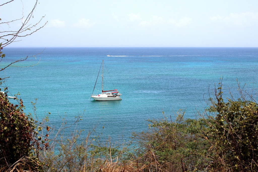 Culebra 032