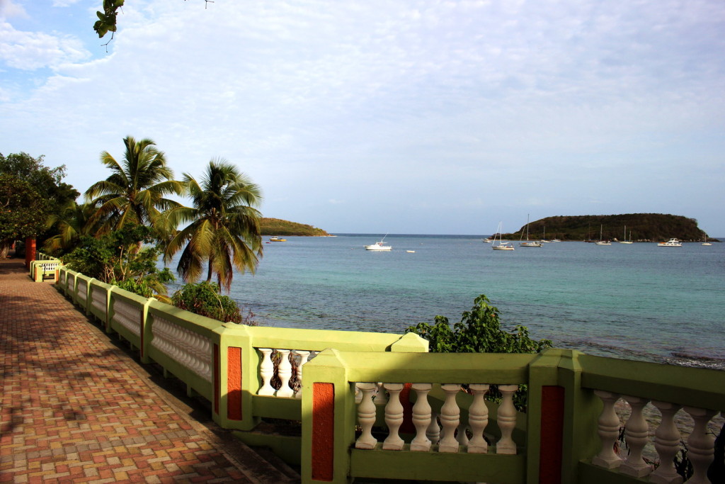 Vieques 007