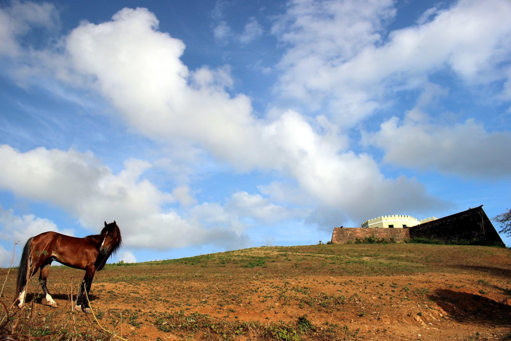 Vieques 055