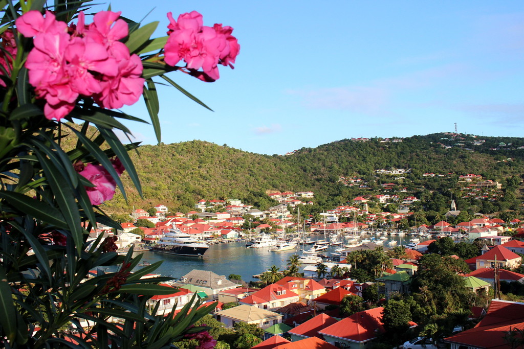 GUSTAVIA (168)