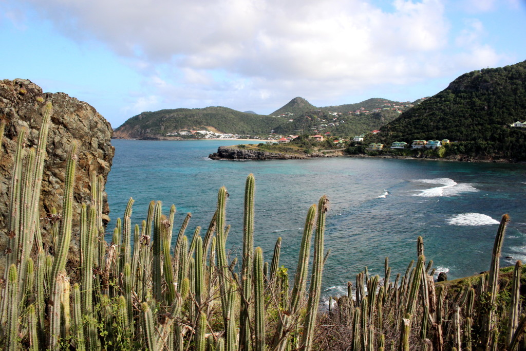 anse colombier (30)