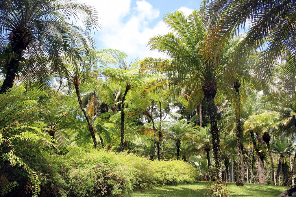 Botanischer Garten (11)