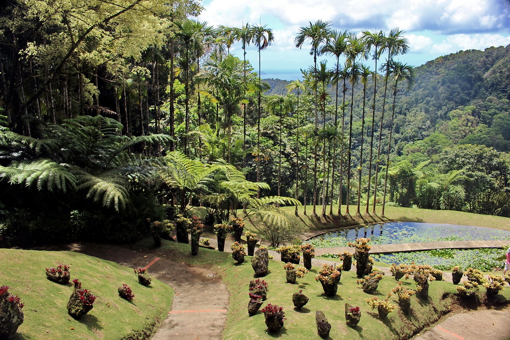 Botanischer Garten (32)