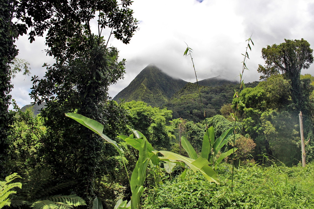 Martinique Rundreise (62)