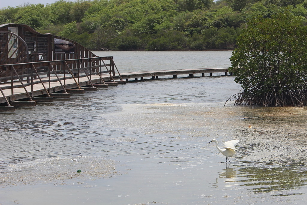 Martinique Rundreise (7)